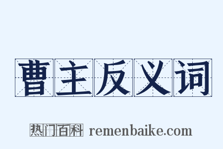 曹主反义词是什么意思的图片